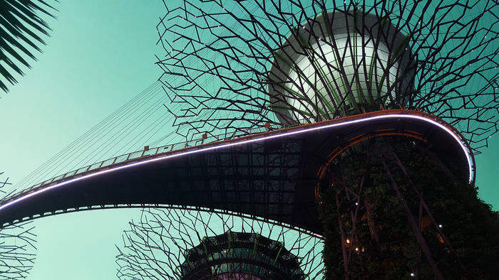 Social Economy: From Needs to Opportunities