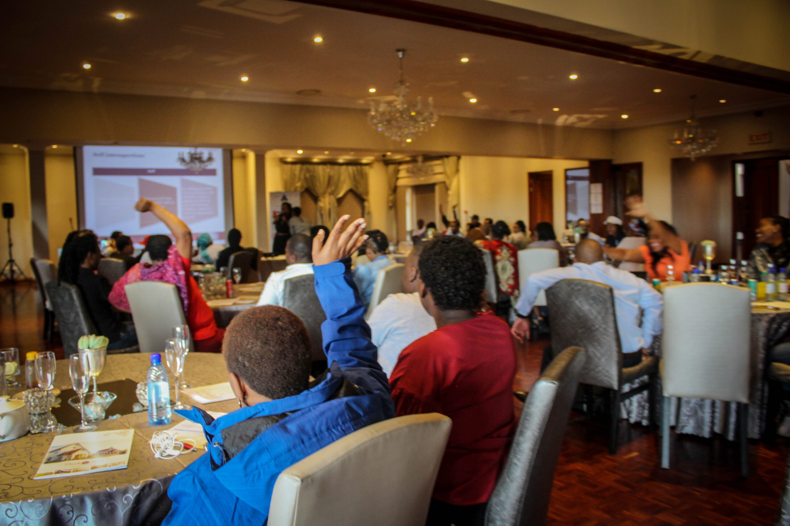 Repurposed Economics for Development Finance Challenge. Is it plausible?