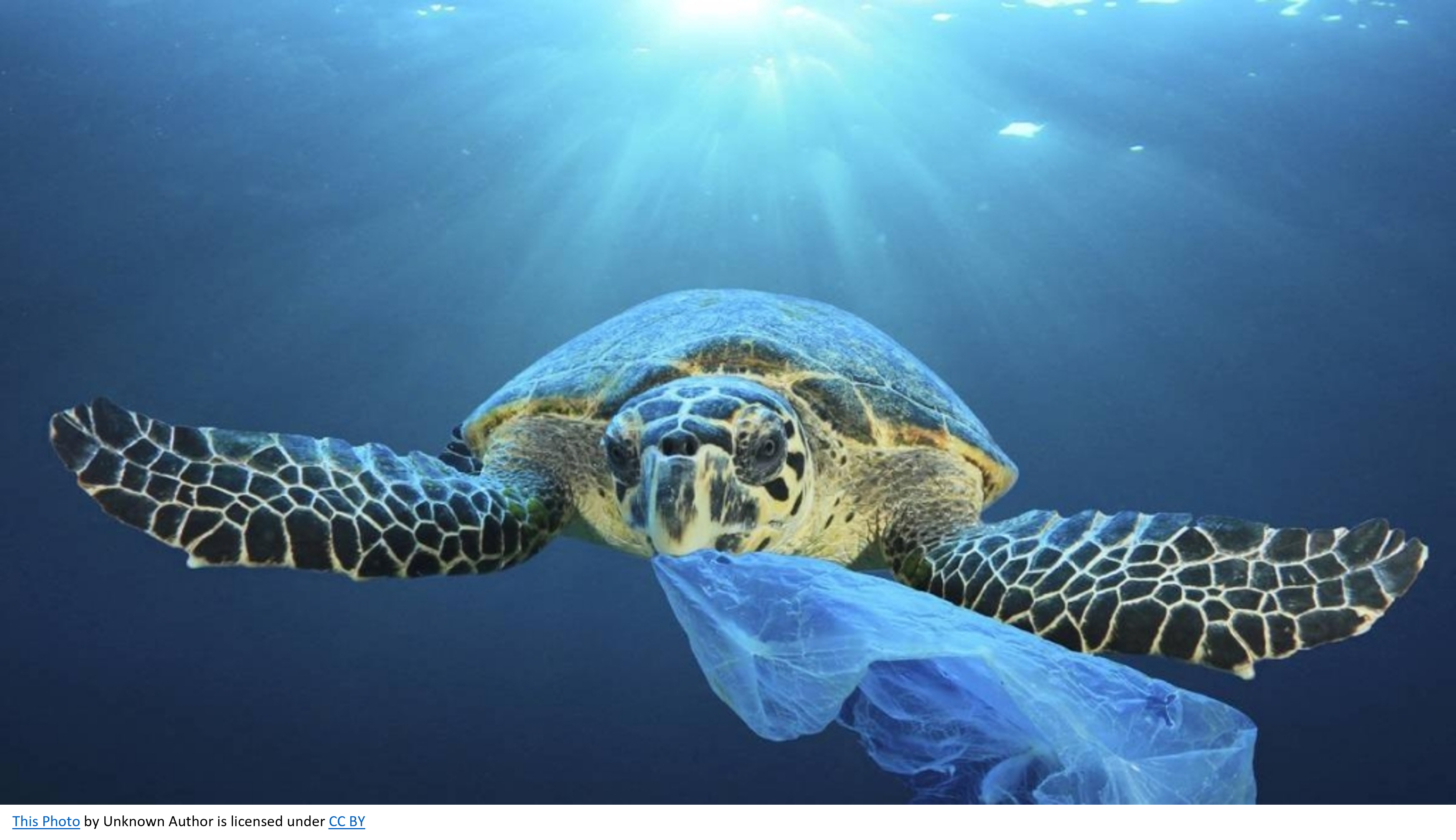 Plastic’s Evolution: From Innovation to Environmental Challenge